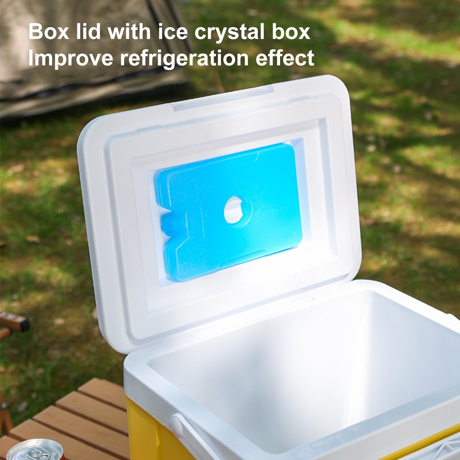 Refrigeratore isolato da 6 litri, portatile, a prova di perdite, con maniglia per il trasporto, mantiene il cibo e le bevande freddi per ore con impacchi di ghiaccio, ideale per campeggio, pesca