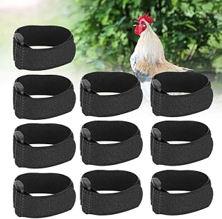 10pcs Noise Neckband AntiHook Prevent Chickens from Screaming Collar for Pet Roosters Prevent Chickens from Screaming(Normal Style) (Type 2)