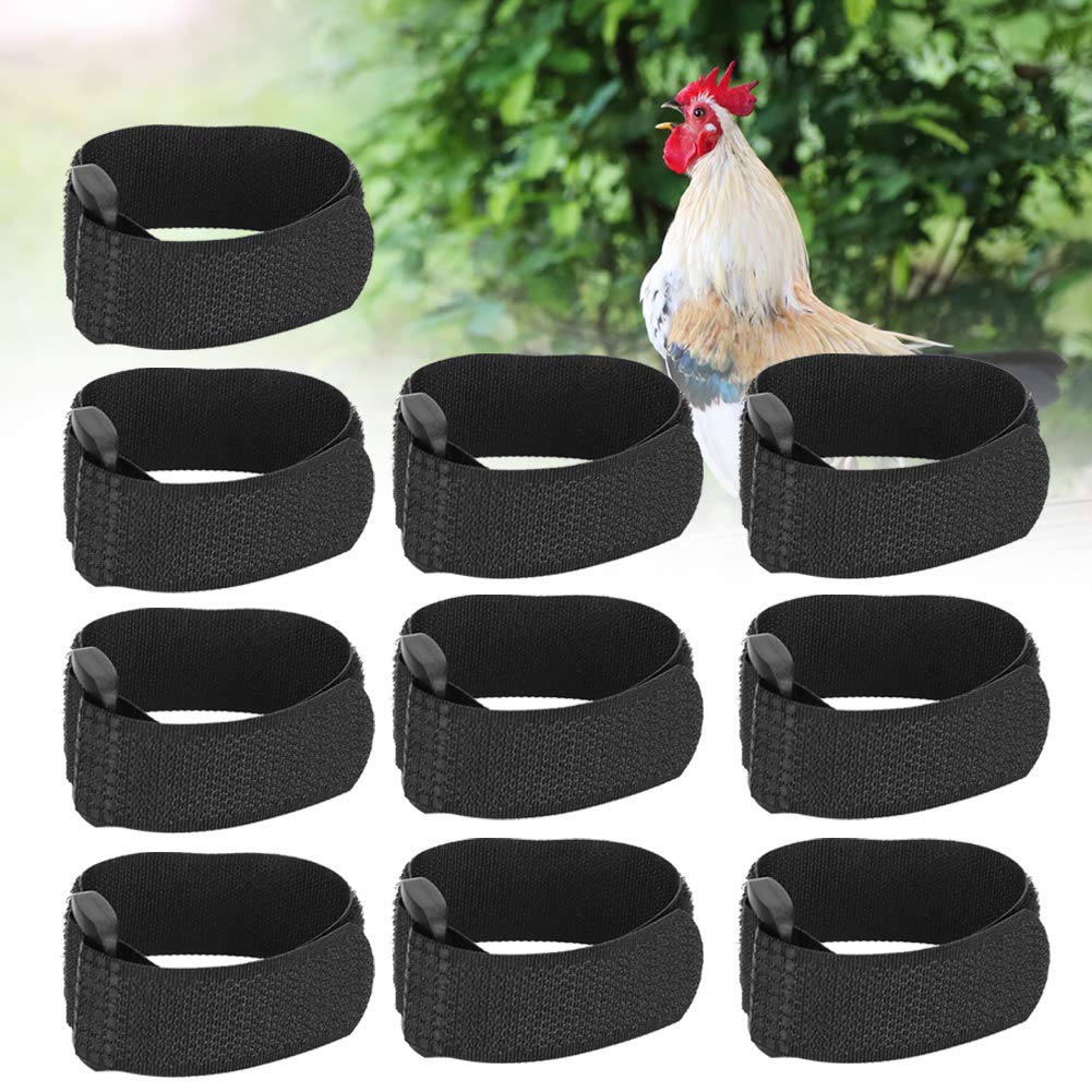 Collier anti-crochet anti-bruit pour coqs d'animaux de compagnie, 10 pièces, empêche les poules de crier (style normal) (Type 2)