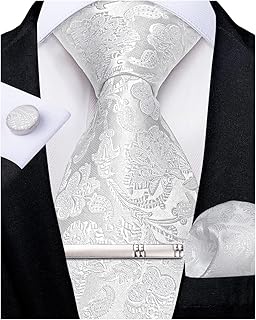 Silk Floral Ties for Men Woven Paisley Necktie and Tie Clip Handkerchief Cufflinks Set for Party Wedding