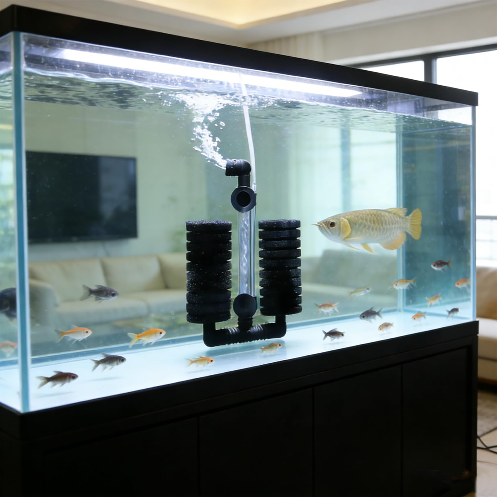 6 Pièces Filtres en éPonge pour Aquarium Filtre éPonge pour Filtration Biologique et MéCanique, éPonges de Rechange pour Filtre D'Aquarium,Filtre Silencieux en Mousse de PlongéE pour Aquarium
