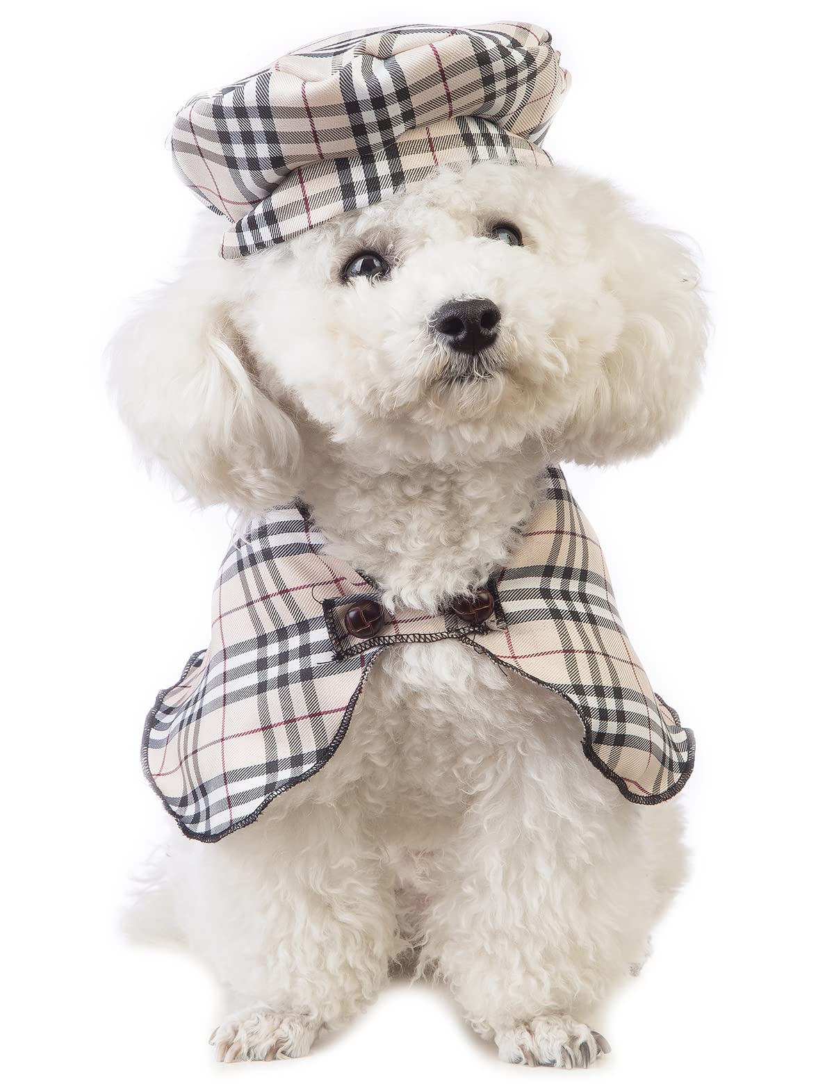 Detective Dog Costume ubicaciondepersonas.cdmx.gob.mx