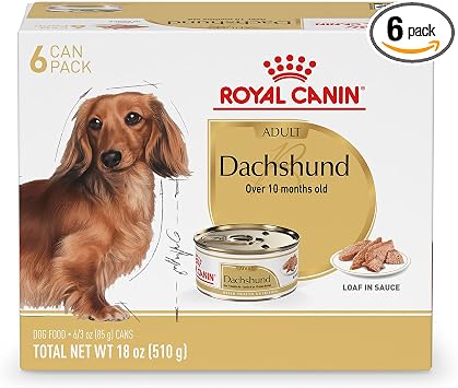 Royal Canin Dachshund Adult Wet Dog Food, 3 oz, 6-Pack | Muscle Support with L-Carnitine, Muscle Tone Support, For Adult Dachshunds 10+ Months, Loaf in Sauce