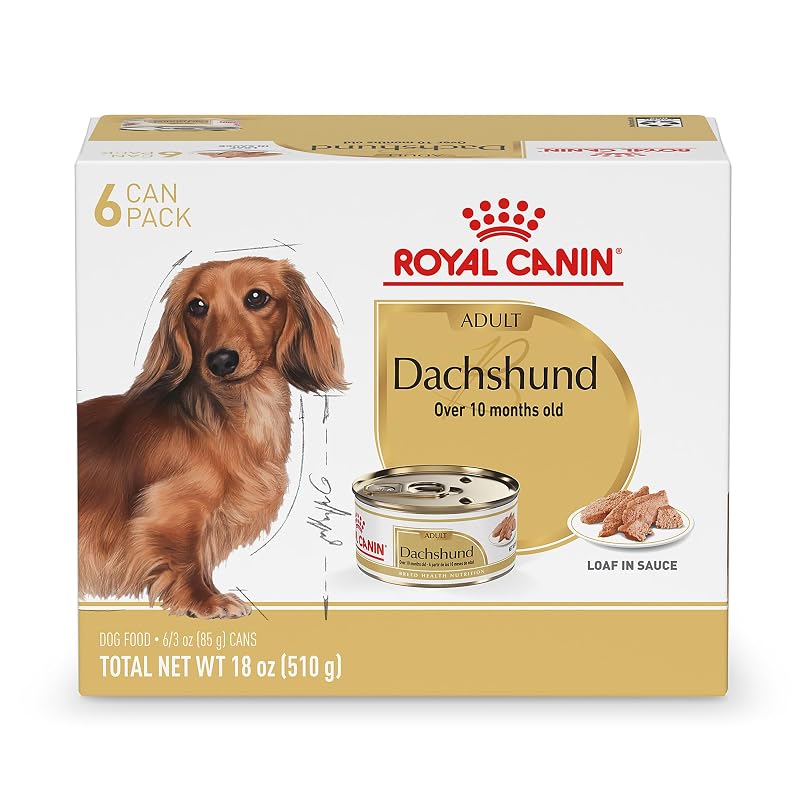Ração úmida para cães Dachshund adultos ROYAL CANIN Patê com molho, pacote com 6 latas de 85 g