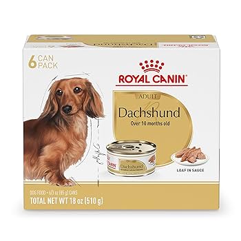 What Nutritions are Best for Dachshund Dogs: Essential Healthy Tips
