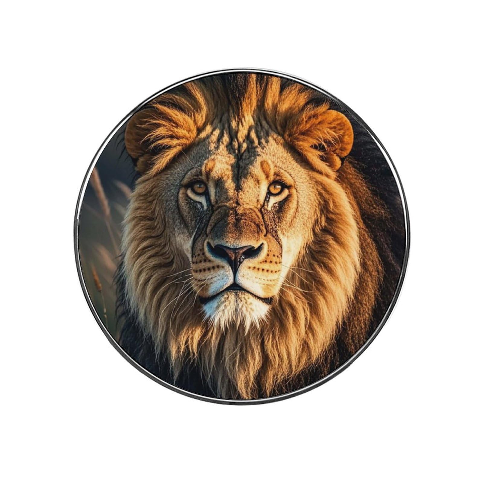 Magnet de croisière lion autocollant étanche pour porte en métal
