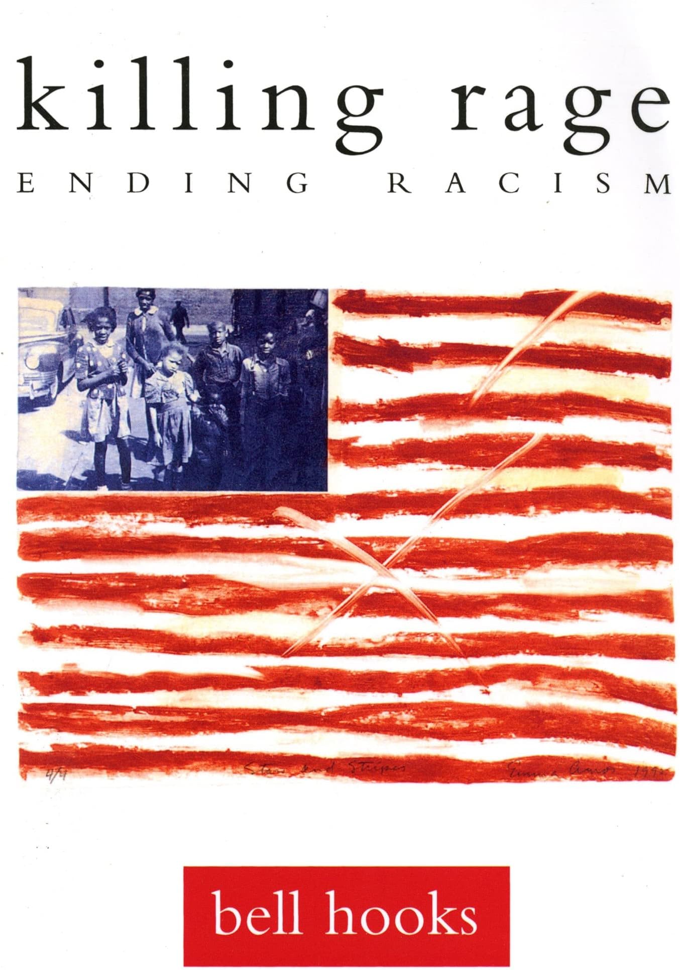 killing rage: Ending Racism (Owl Book)