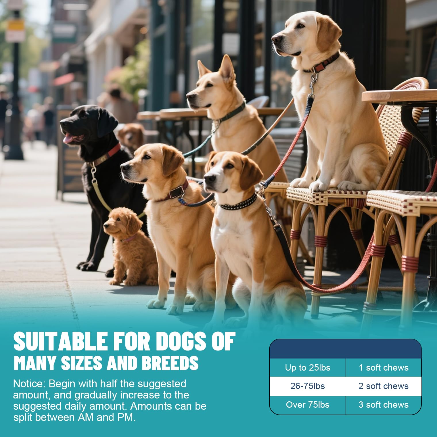 Hip and Joint Supplement for Dogs, glucosamine for Dogs Hip and Joint Supplement with Chondroitin, MSM, Omega 3 Chondroitin and Green Lipped Mussel, 250 Chews for All Senior Large Small Medium Breed - image 6