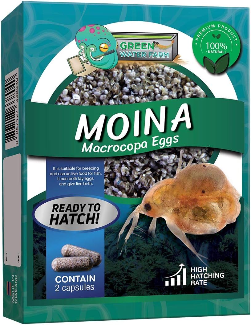 GREEN WATER FARM Moina Macrocopa Eggs Flea) Live Fish Food for Hatching and Culture Suitable for Feed Betta Fish