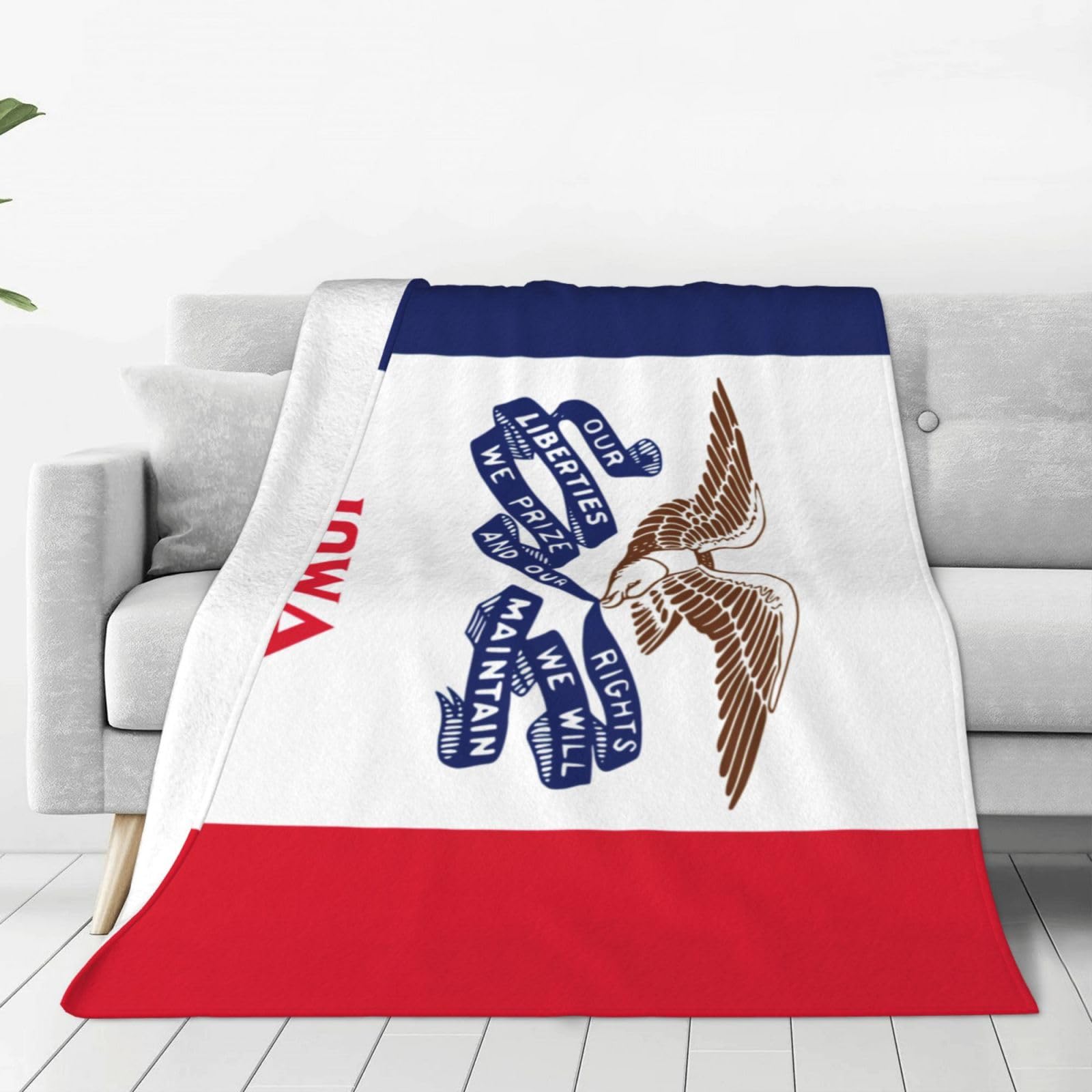 Couverture polaire drapeau de l'Iowa pour soirées cocooning chaleureuses sur le canapé