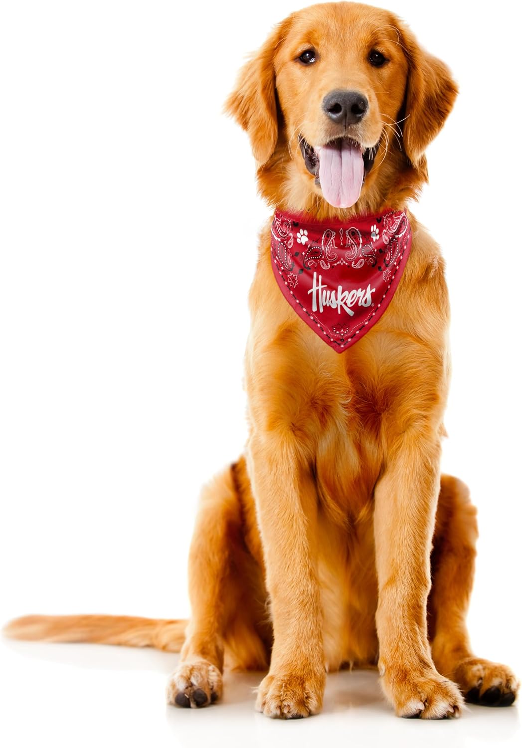 Littlearth NCAA Unisex NCAA Pet Bandana - Reversible