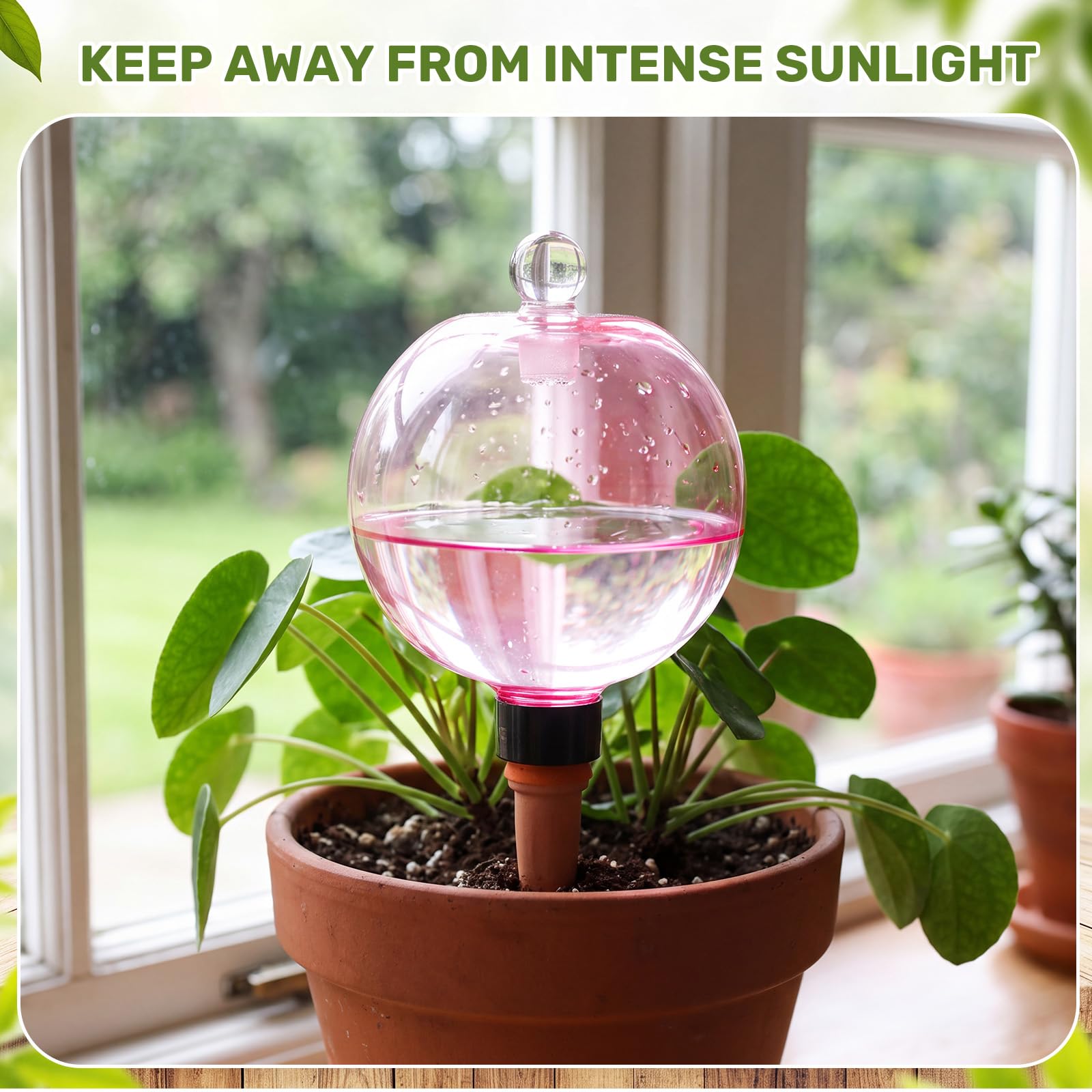 Confezione da 4 globi autoirriganti extra large da 737 g, con