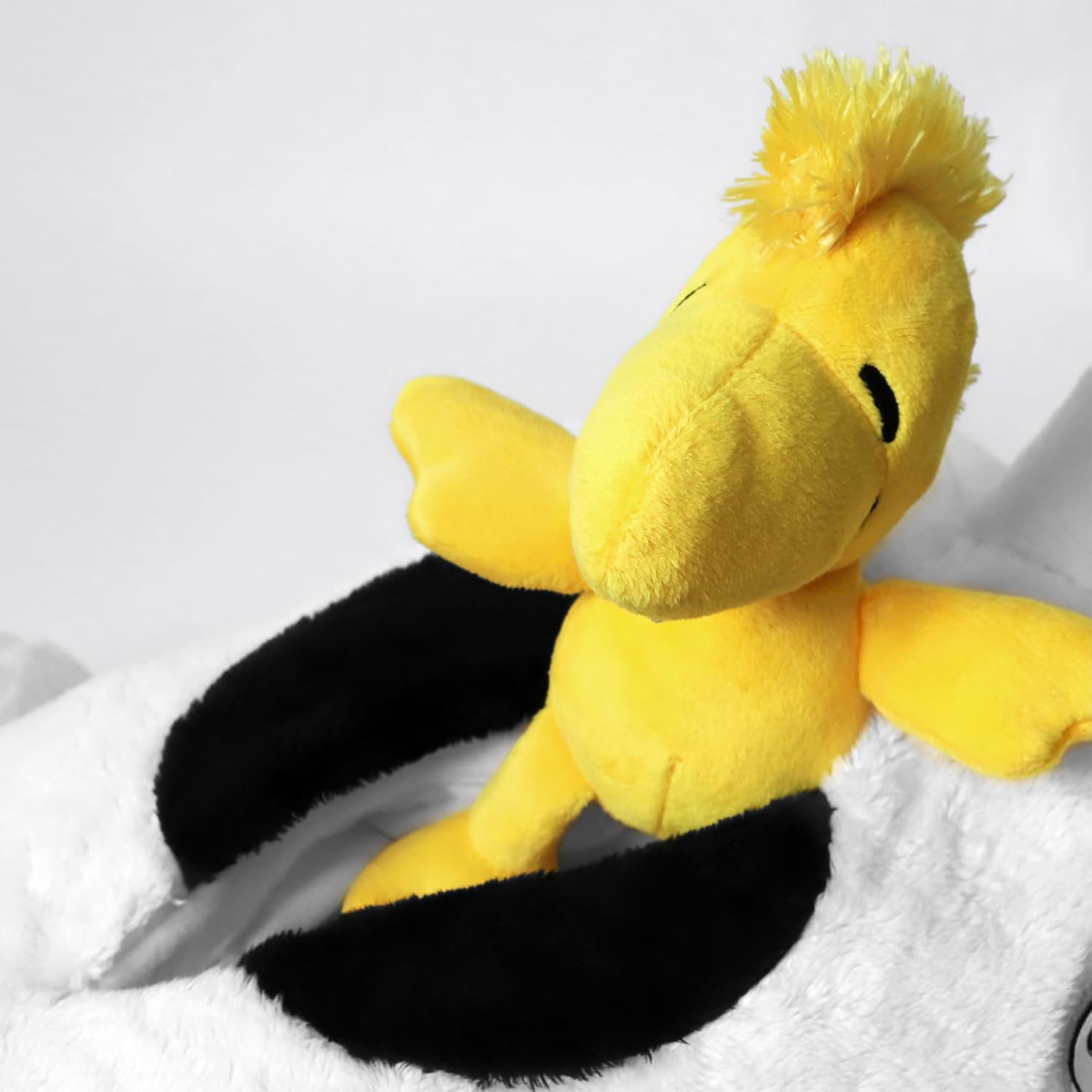 Let's Make Memories PEANUTS Snoopy & Woodstock Personalized Stuffies - Stuffed Animal