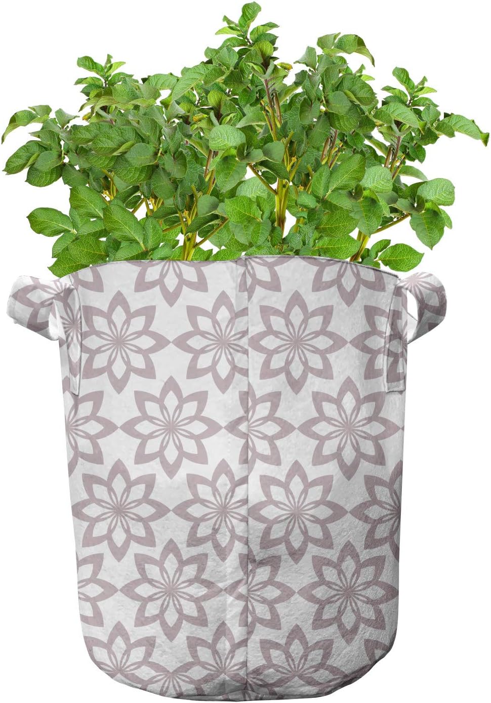 Ambesonne Floral Grow Bags 5-Pack, Monochrome Spring Blooms, Heavyduty Fabric Pots with Handles for Plants, 7 Gallon, Taupe and White