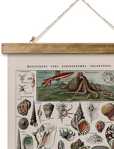 Miniatura 268 de XIAOAIKA Póster de botánica vintage con marco de madera, tabla de plantas venenosas antiguas, arte educativo botánico con especies peligrosas, 1