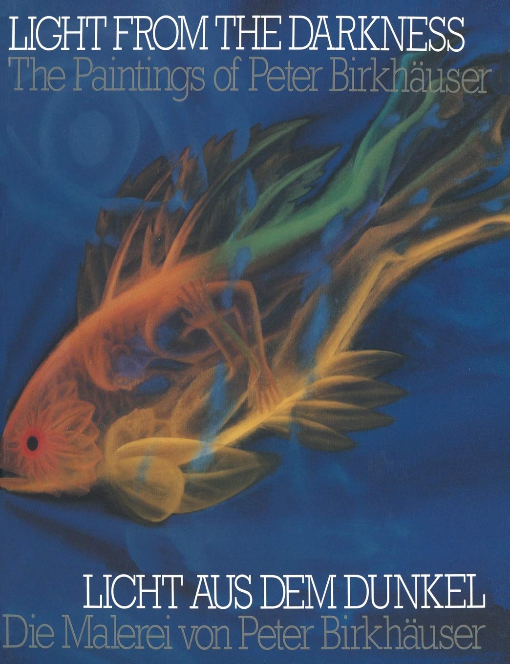 Light From the Darkness / Licht aus dem Dunkel: The Paintings of Peter Birkhäuser / Die Malerei von Peter Birkhäuser (English and German Edition)