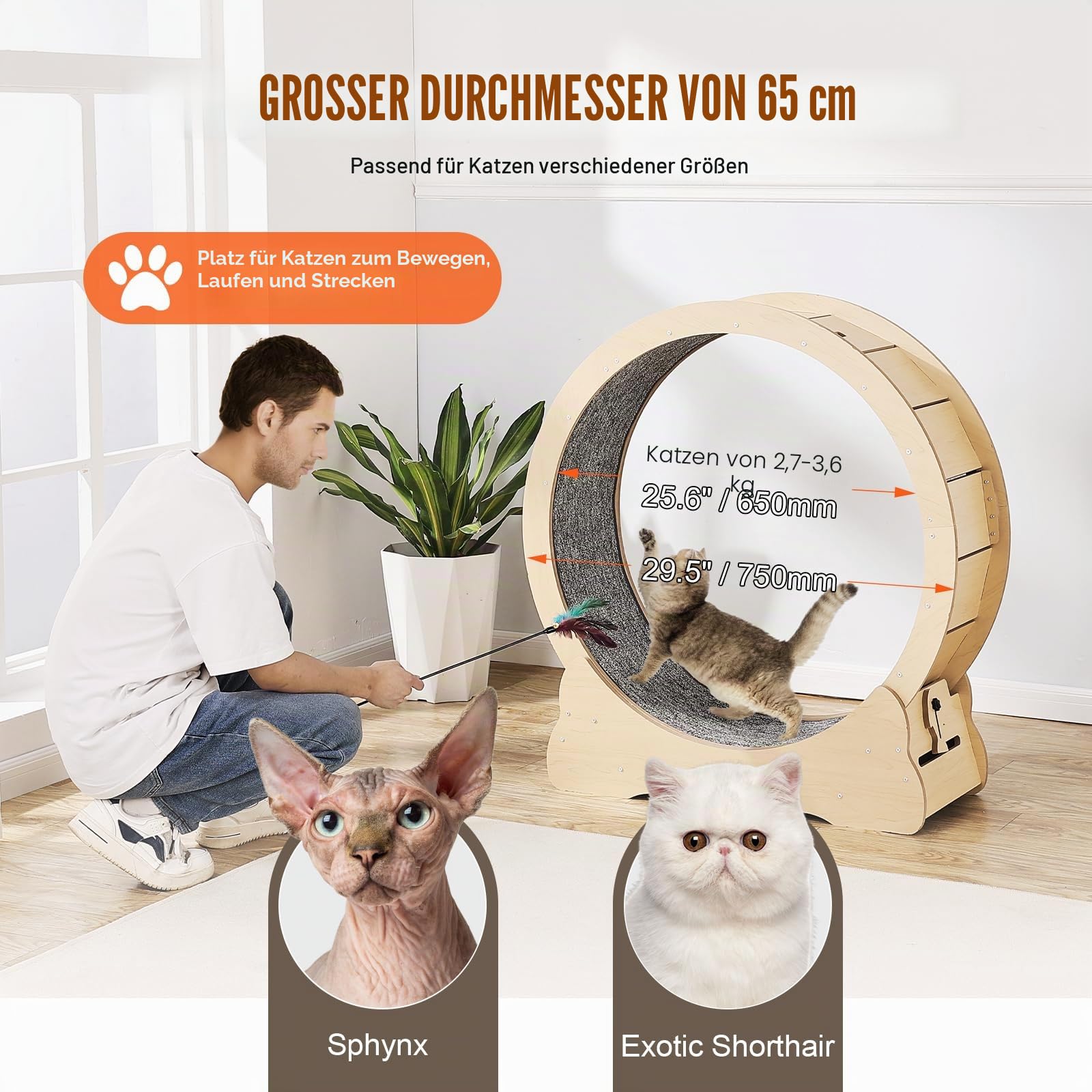 VEVOR Katzenlaufrad, 750 mm, Katzenlaufband für den Innenbereich, mit abnehmbarem Laufband, Katzen-Teaser zum Laufen, Gehen, Training, Laufrad Katzen, geeignet für die meisten Katzen bis zu 3,6 kg