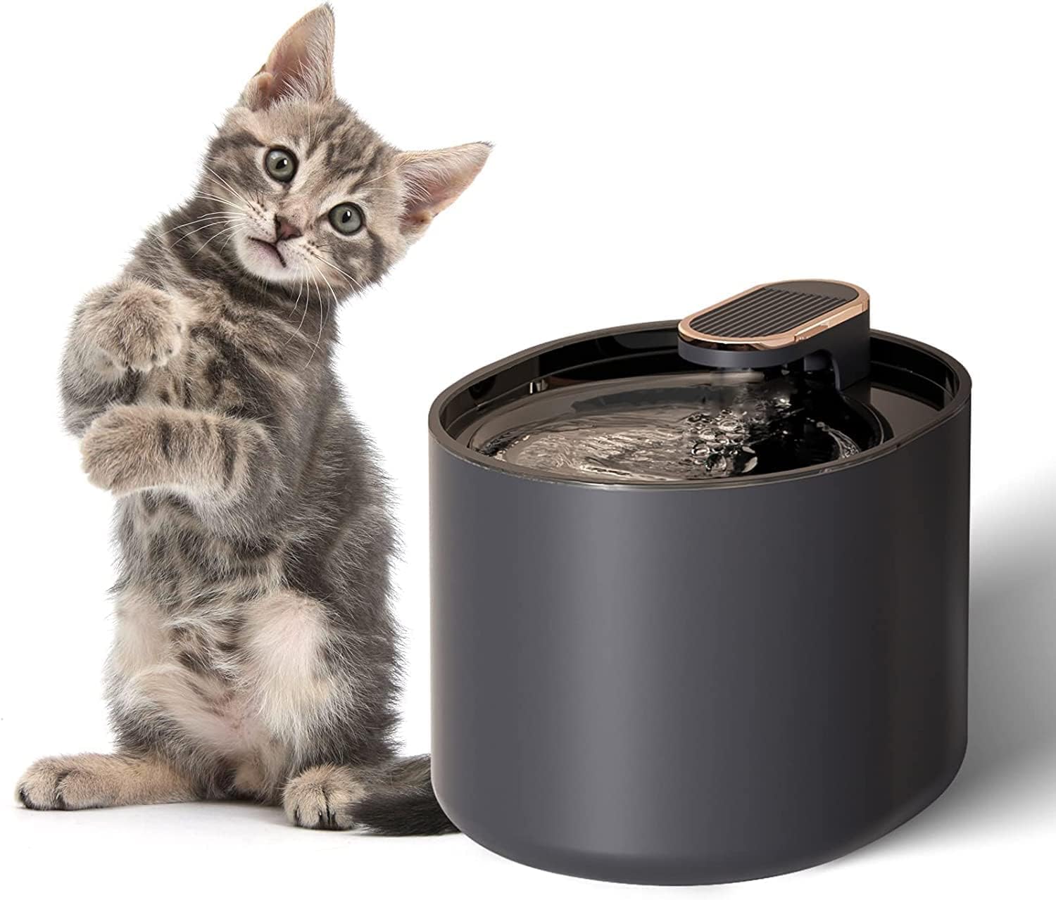 3L Cat Water Fountain,Pet Fountain Water Fountain for Dogs Inside, Cat