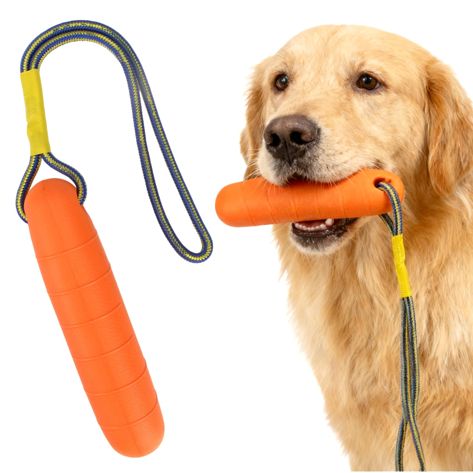 Wasser Interaktives Hundespielzeug, 22 cm Floating Hundespielzeug,  Wasserspielzeug fr Hunde, Hunde Spielzeug Schwimmend mit Nylon Rope, fr  Mittelgroe Groe Hundes Trainieren Apportieren im Wasser : Amazon.de:  Haustier