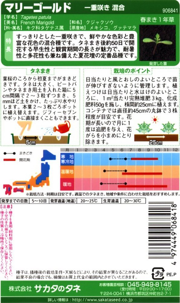 Amazon.co.jp: サカタのタネ 実咲花6841 マリーゴールド一重咲き混合