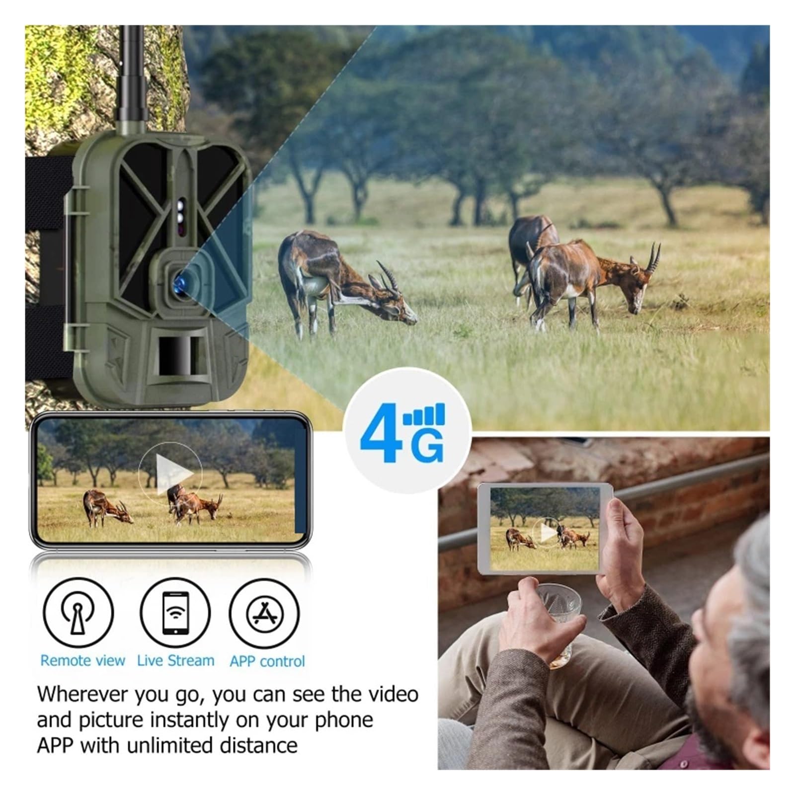 4G HD Wideo Na Żywo Bateria Litowa Komórkowa Kamera Obserwacyjna 50MP 4K Bezprzewodowa Aplikacja Do Gier Usługa W Chmurze Wodoodporna IP66 Wildlife Cam WyraźNe Obrazy I Filmy
