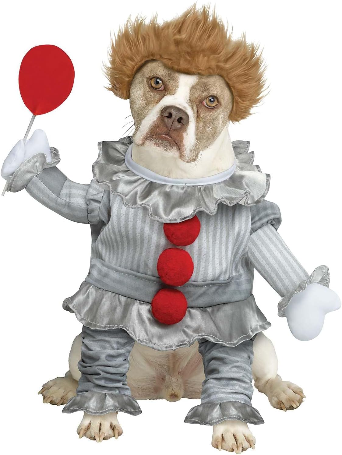 Spirit Halloween It Pennywise Pet Costume, Officially Licensed, Horror, Clown Outfit, Unisex Adult, Size PET Medium Standard, Multicolor