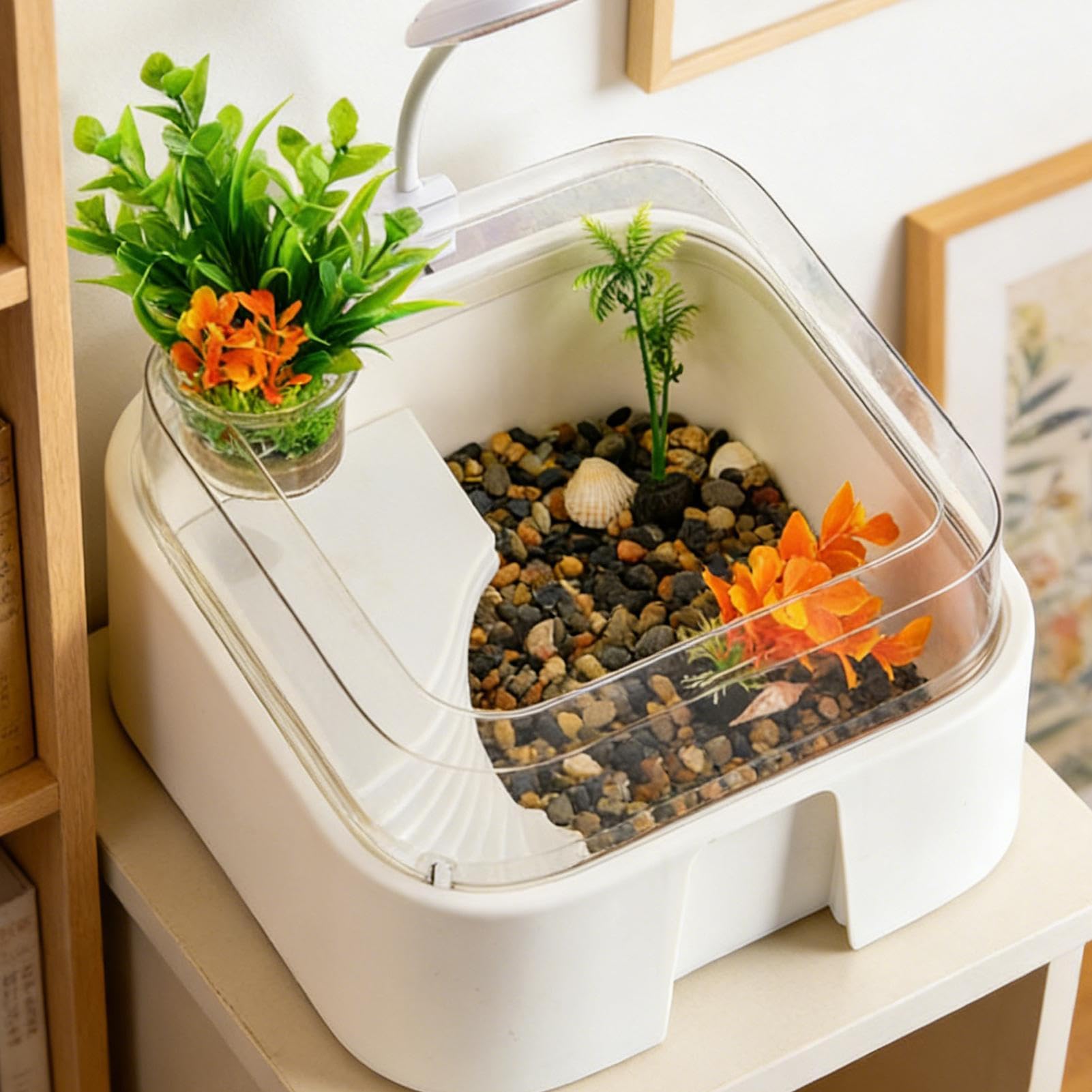 Zestaw Akwarium Dla Żółwi Terrarium Dla Gadów Z Akcesoriami | Akwarium Agamy Brodatej Z Oświetleniem dla Krabów Palmaowych Żółwi Agam Brodatych Węży i Pająków do Domu i Biura