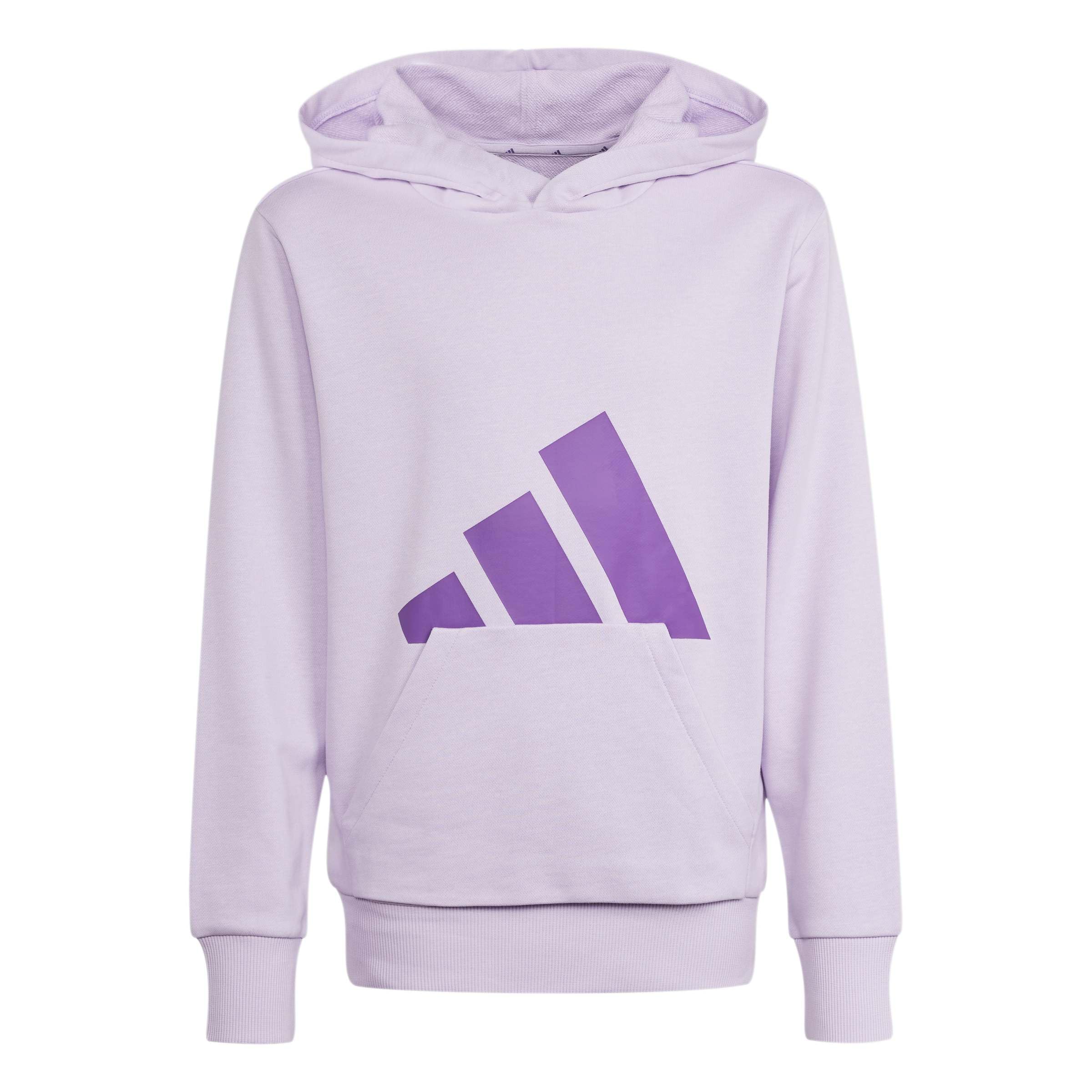 adidas Unisex Kids ESSENTIALS BIG LOGO HOODIE, ice lavender/active purple, 13-14 Years