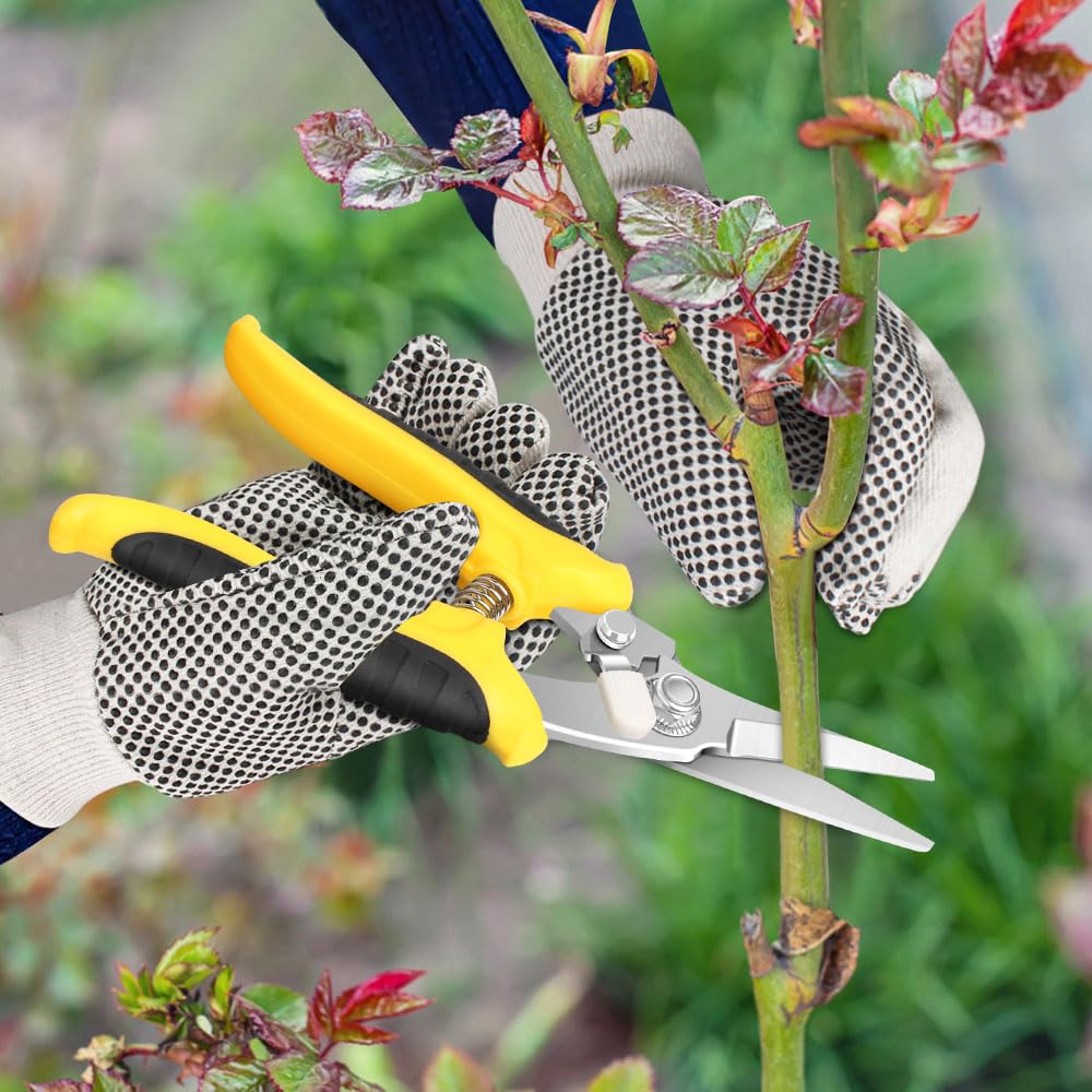 MOSFiATA Bonsai Werkzeug, 19-teilig Bonsai Pflege Starter Werkzeugset mit  Gartenschere, Bonsai Schere und Draht, Pinzette, Gartenhandschuhe : ...