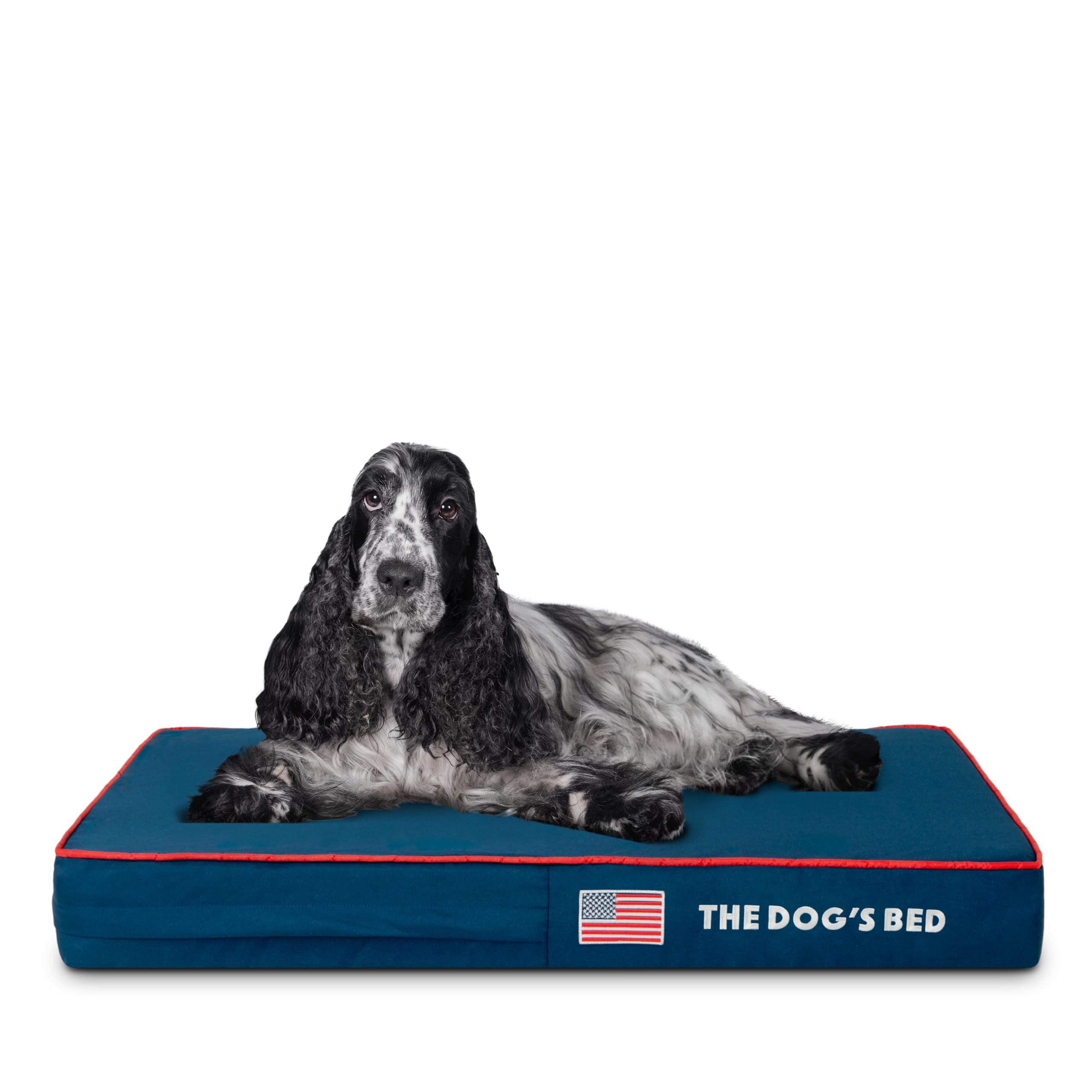 The Dog’s Bed Orthopaedic Memory Foam Dog Bed for XL Dogs, Waterproof Washable Cover, Anti-Slip Base, Calming Surface – CertiPUR-Certified Foam, Grey Plush, 15cm Thick — view 50