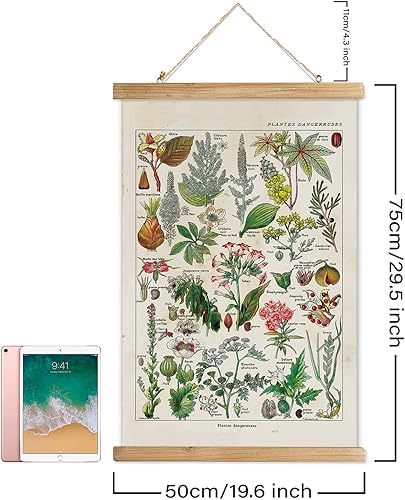 Miniatura 48 de XIAOAIKA Póster de botánica vintage con marco de madera, tabla de plantas venenosas antiguas, arte educativo botánico con especies peligrosas, 1