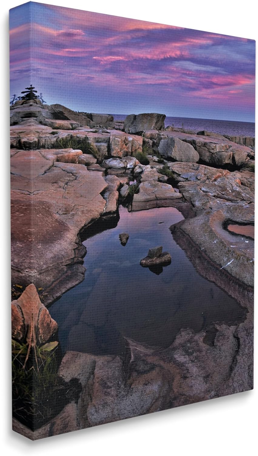 Stupell Industries Tide Pool Landscape Canvas Wall Art by Joseph Elliott
