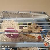 Zoozone habitat medium Clearance