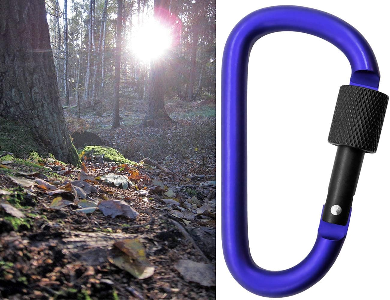 Outdoor Saxx® Pack of 5 Large Screw Carabiners, Material Carabiners, 8 cm, Aluminium, Blue/Black, Black,Blue - Image 4