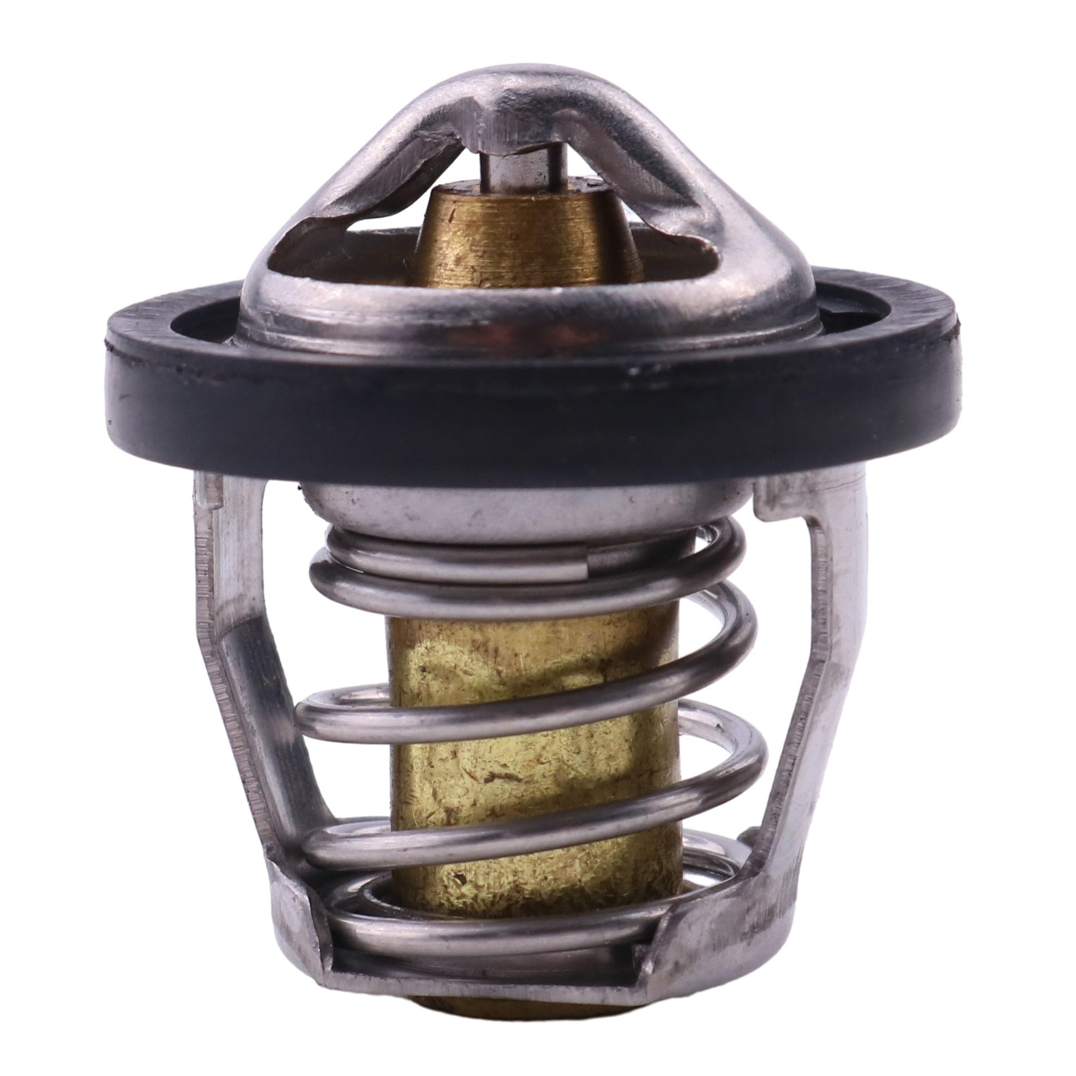 Amazon.com: DVPARTS Thermostat 21040104001 Compatible with Odes