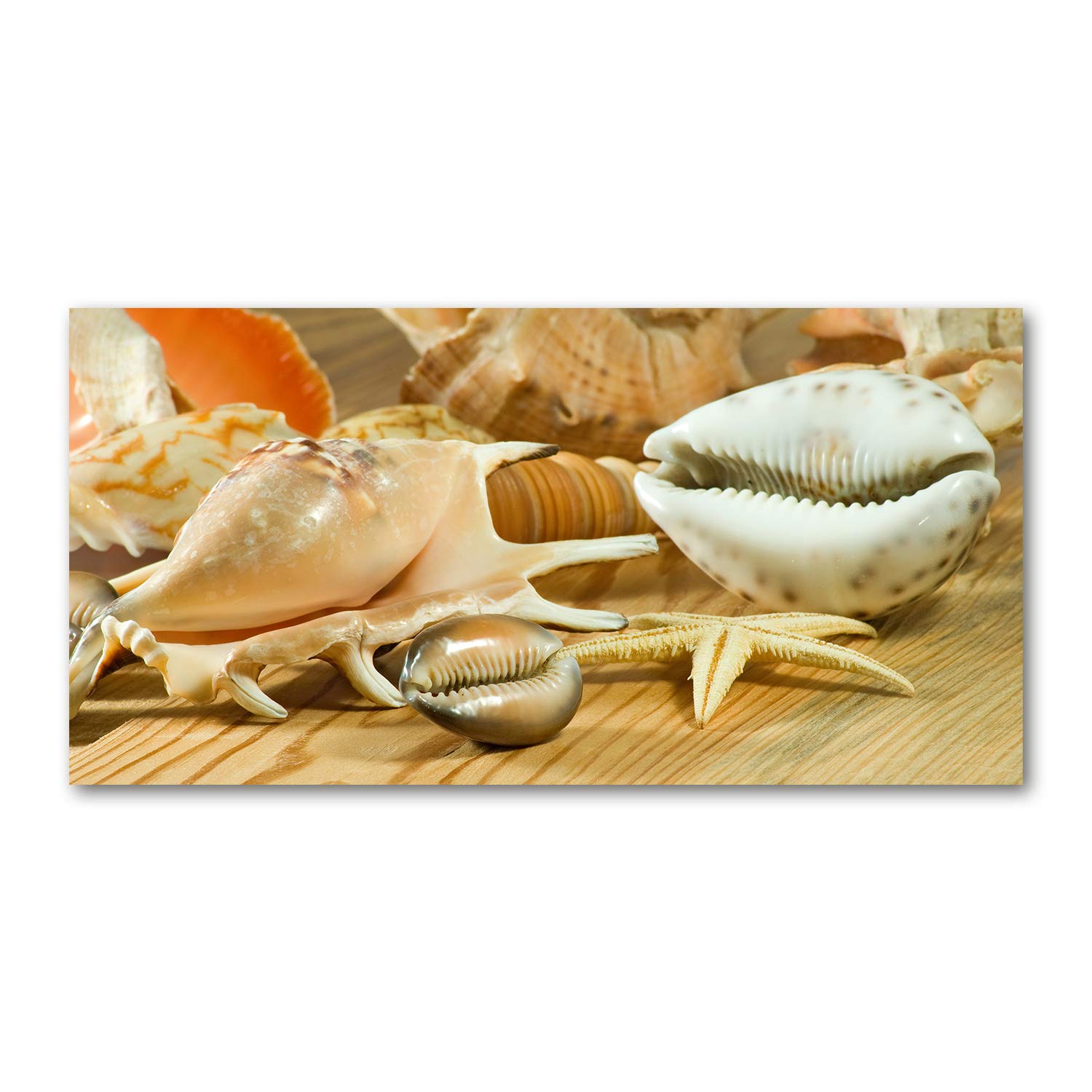 Impression sur verre 120x60 cm tableau Coquilles sur Bois Tulup