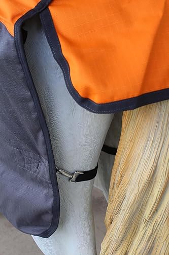 Miniatura 6 de CHALLENGER 74" 1200D Caballo Participación Impermeable Pesado Invierno Manta 5EE22OR Marrón Cielo Azul,Gris Naranja,Gris Rojo,Gris/Púrpura,gris/azul