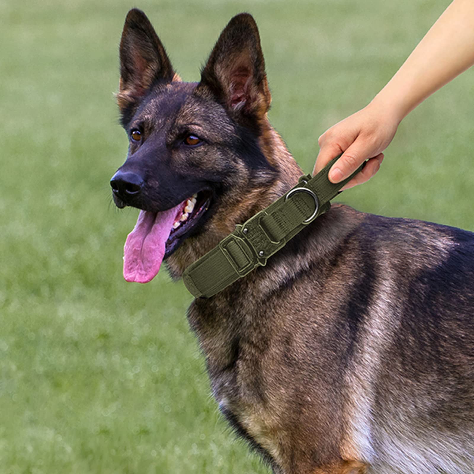 Tactical Dog Collar and Leash Set Heavy Duty Military Dog Collar with Handle and Metal Buckle for Medium and Large Dogs (Army Green, L)