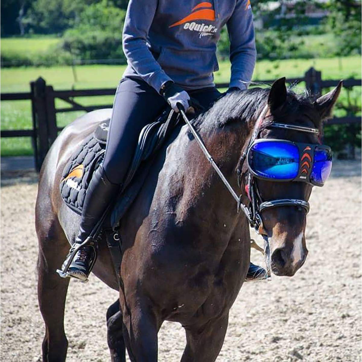eQuick Horse ゴーグル eVysor 馬用 サングラス ストラップ | www