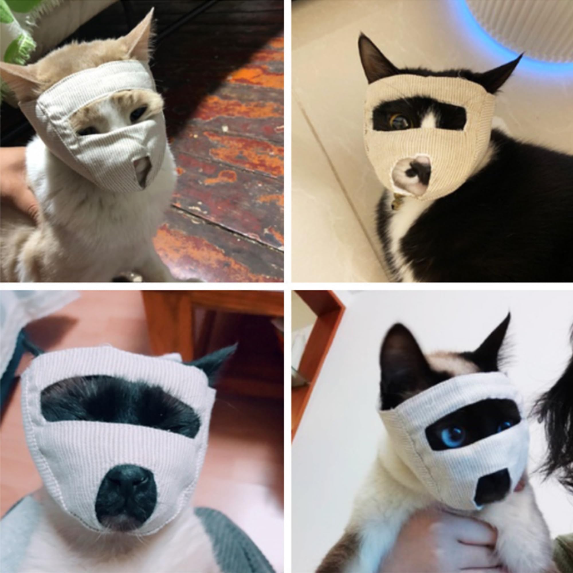 Museau Chat Soin Anti-Morsure Chat Respirant Réglable Empêcher Mastication Morsures Protection Claire Visage Soin Bain Doux Chat Rasage Ongles Coupants