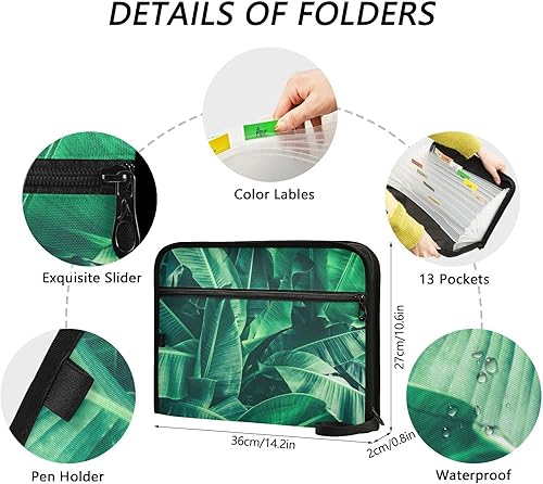 Miniatura 3 de OTVEE Organizador de archivos de acordeón, hojas de plátano verde tropical, 13 bolsillos, carpeta de archivo expandible