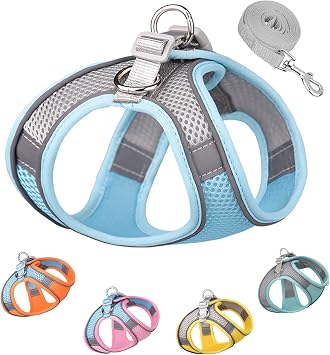 Solmoony Dog Harness for Small Medium Dogs,Easy to Put on Soft Mesh Dog Harness and Leash Set for Kitten and Puppy,Step in Adjustable Dog Harness with Padded Vest XXS, Blue