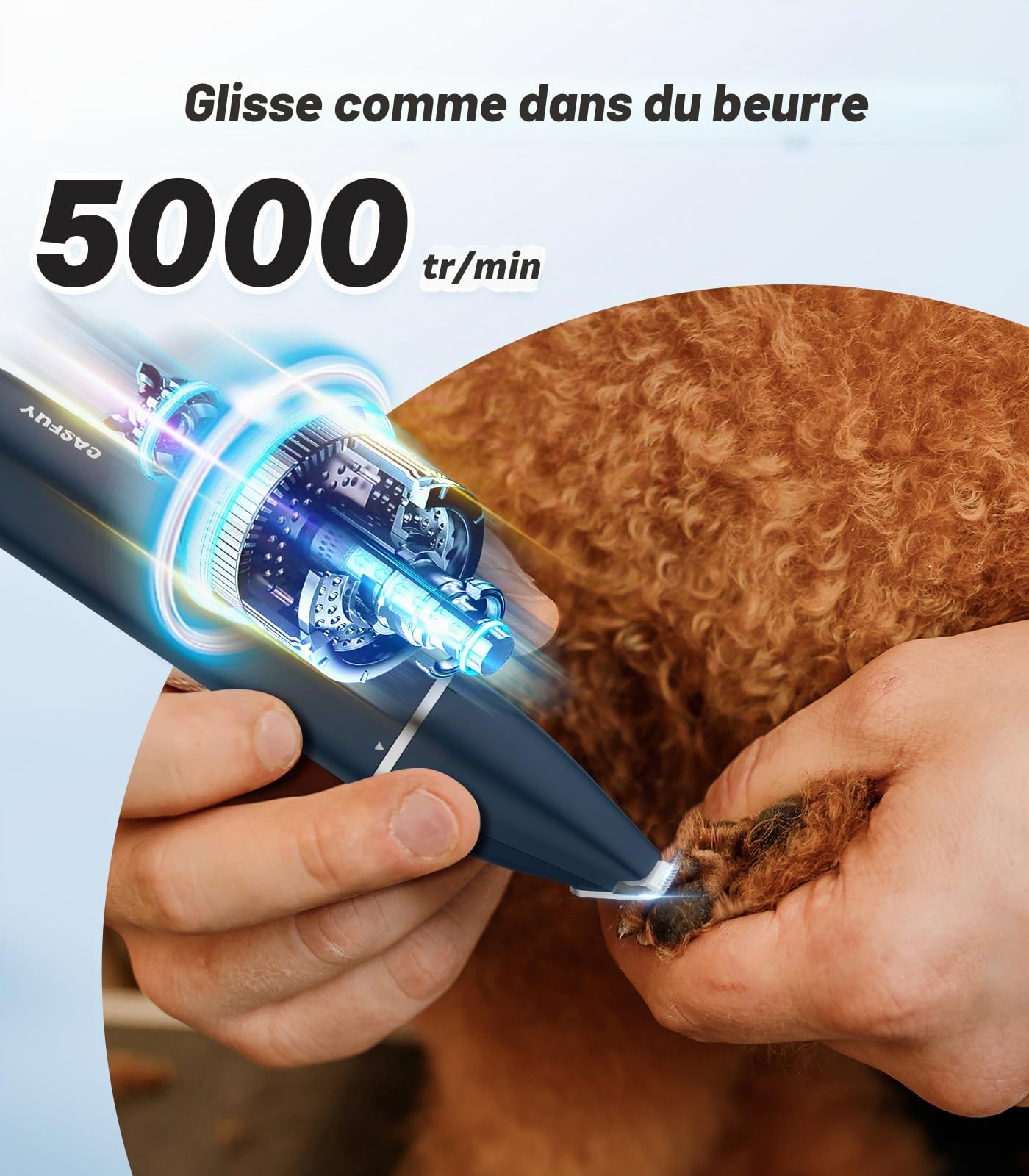 Casfuy Tondeuse à pattes de chien - Tondeuse silencieuse avec double paire de ciseaux - Rechargeable par USB - Pour l'épilation des pattes, des yeux, des oreilles, du visage et des fesses