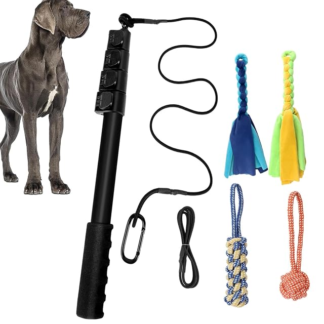 Foto 2 de 8 de Medium Dogs Flirt Pole - Interactive Dog Toy Teaser, Flirt Pole for Dogs