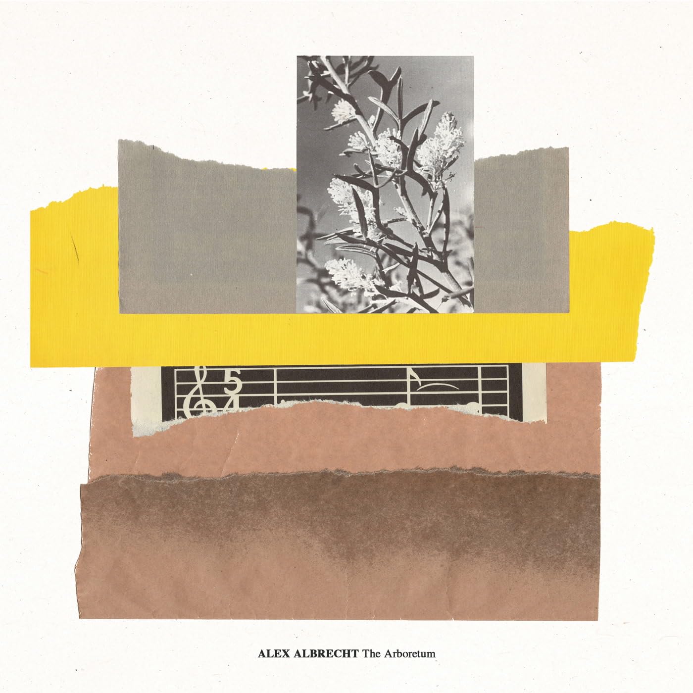 Alex Albrecht Arboretum 12 Inch Vinyl BSR047 NEW