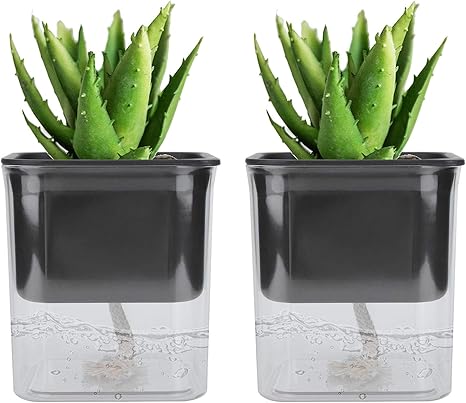 Amazon 植木鉢 透明な植木鉢 水耕栽培用の土壌栽培用の水を簡単に充填および交換できます 花を栽培するための水耕栽培用の植物 鉢 Amazon 植木鉢 透明な植木鉢 水耕栽培用の土壌栽培用の水を簡単に充填および交換できます 花を栽培するための水耕栽培用の植物 鉢