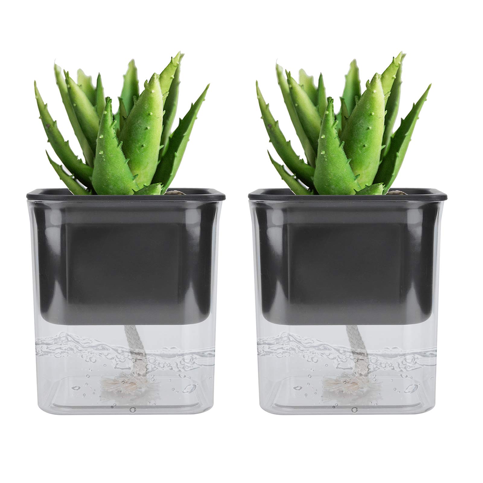 Gedourain Maceta Transparente, Maceta Material PP para Cultivar Plantas para Cultivar Flores