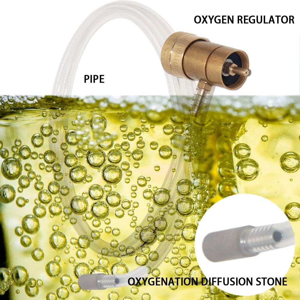 Joywayus Aeration Stone 0.5 Micron 316 Stainless Steel Oxygenation Diffusion Stone 1/4" Barb for Home brewing Wine Beer Soda (Pack of 2)