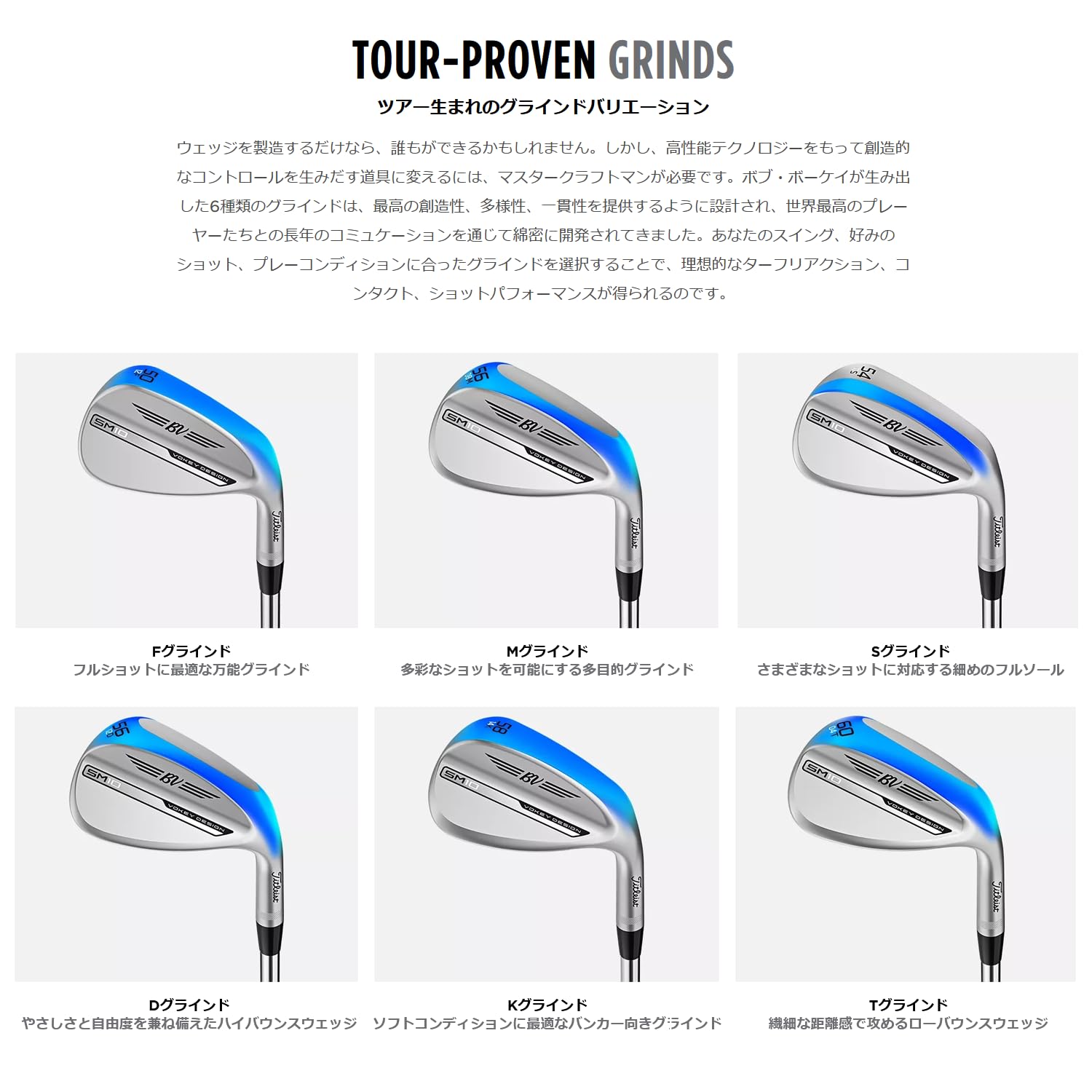 Amazon | Titleist(タイトリスト) VOKEY DESIGN NICKEL SM10