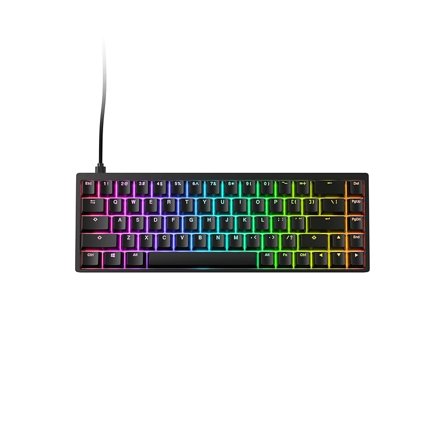 Endgame Gear KB65HE ほぼ未使用品 Amazon.com: ENDGAME GEAR KB65HE Gaming Keyboard, ANSI US